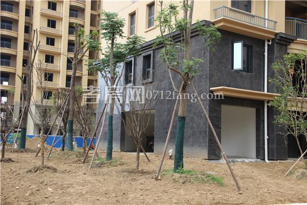 2019061410365370682bkacoq.jpg 綠化2.jpg