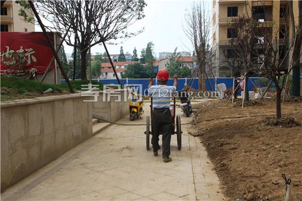 201906141047549038665akrj.jpg 工人.jpg