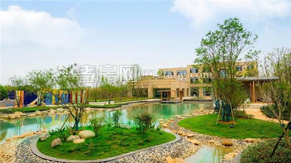 2019062009201278631euhtzh.jpg 2.jpg