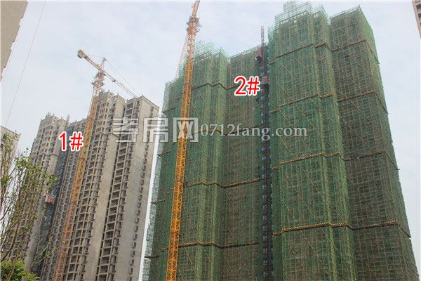 2019062015191944569o4x5ko.jpg 1-2.jpg