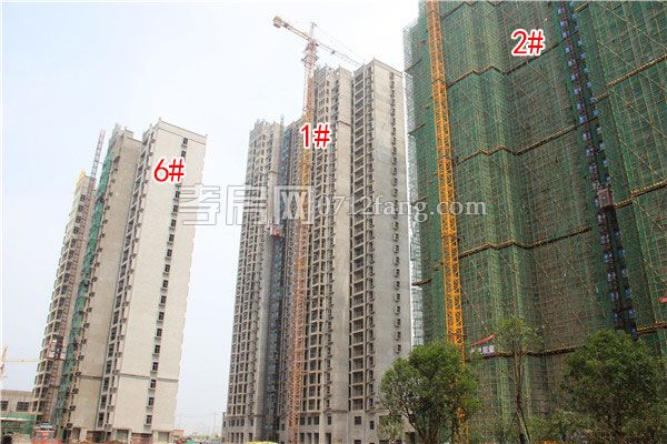 2019062015192824857sxkarf.jpg 1-2-6.jpg