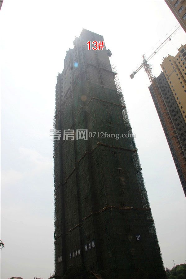 2019062015195136014k7ibo8.jpg 13#.jpg