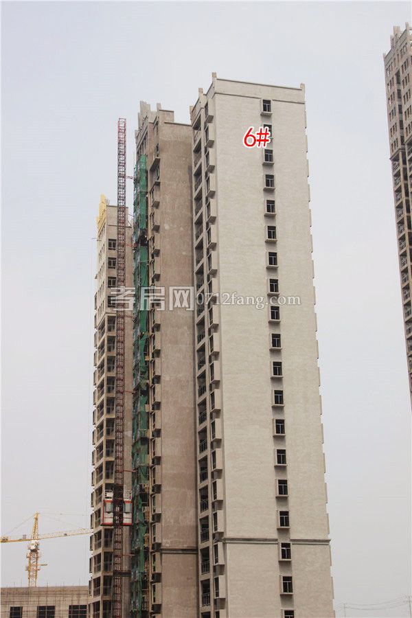 2019062015203351009oeobc8.jpg 6.jpg