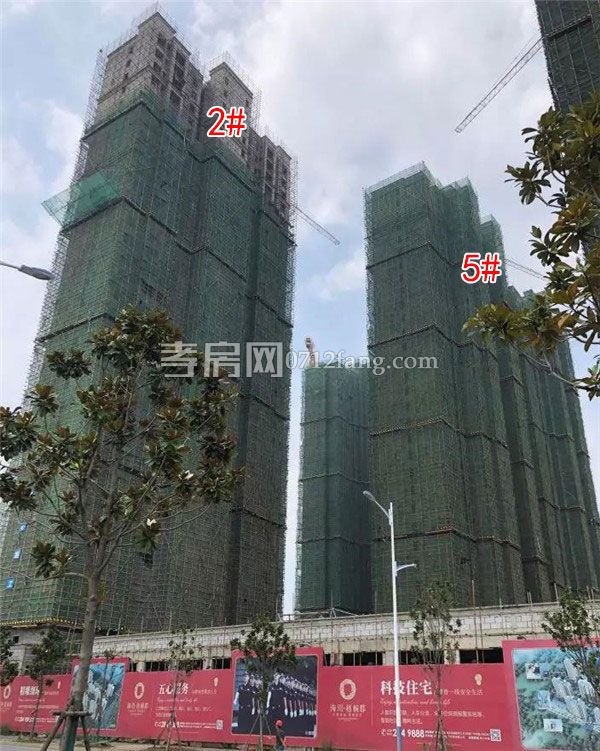 20190620171817322463xjsnp.jpg 1.jpg