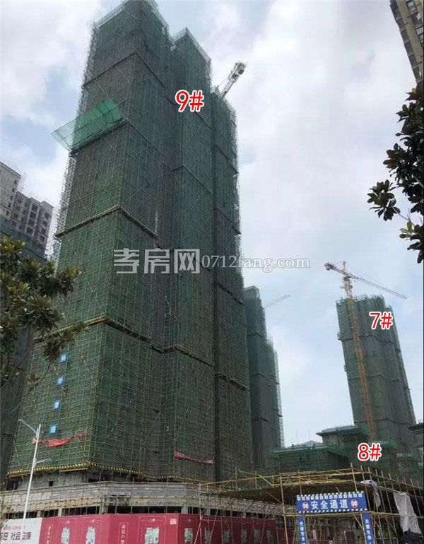 2019062017182729115sop9sm.jpg 2.jpg