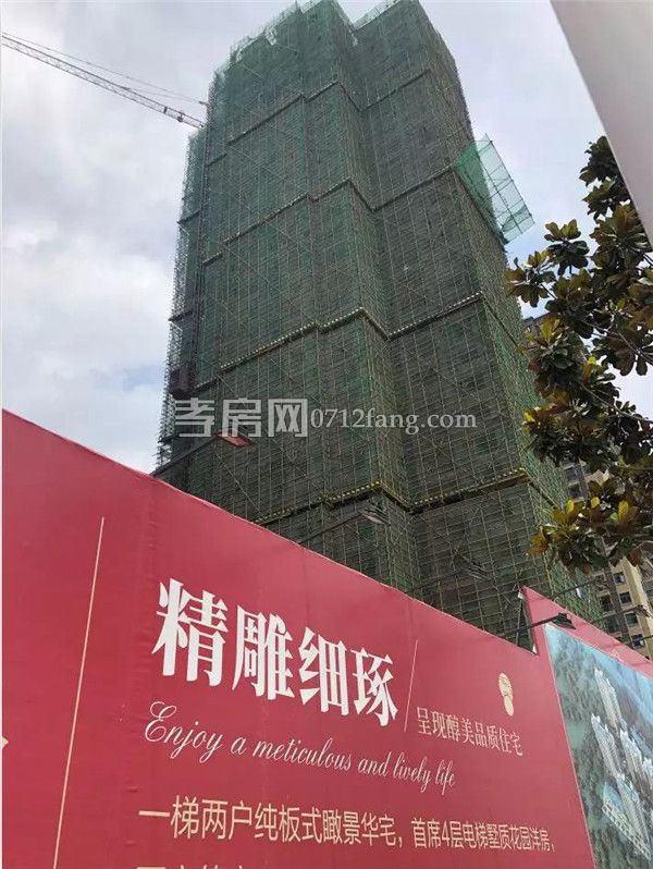 2019062017205231990jrpfnl.jpg 4.jpg