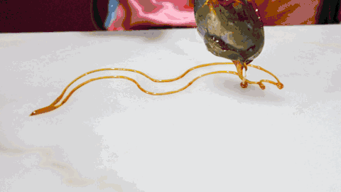 2019062410254031429qdw8fe.gif 6.gif