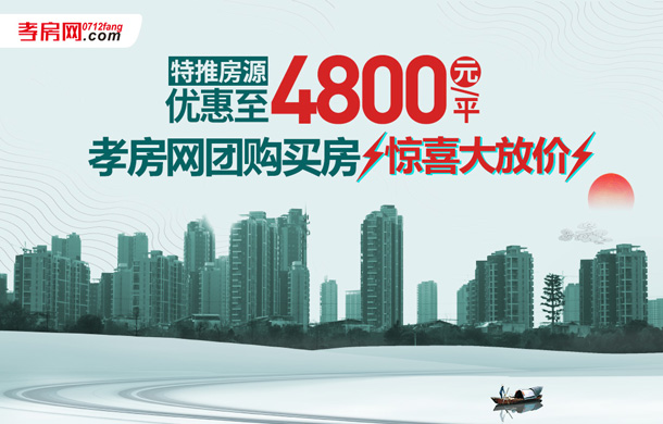 團(tuán)購買房有優(yōu)惠 好地段+好配套+多選擇！