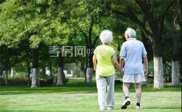 2019062716172764648opw9ha.jpg 4.jpg