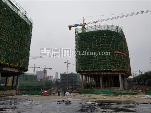 2019062716324522452yl3mdt.jpg 3.jpg