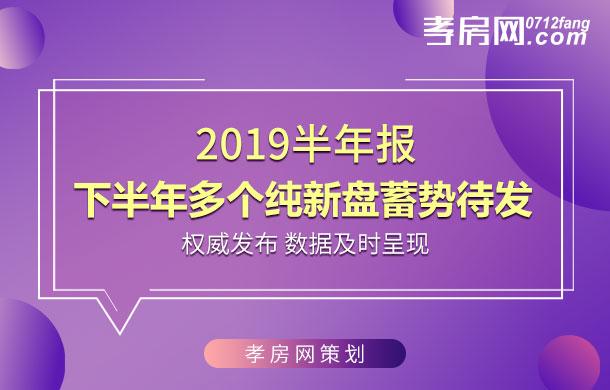 2019半年報：下半年 多個純新盤蓄勢待發(fā)