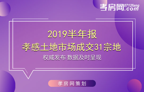 2019半年報：孝感土地市場成交31宗地