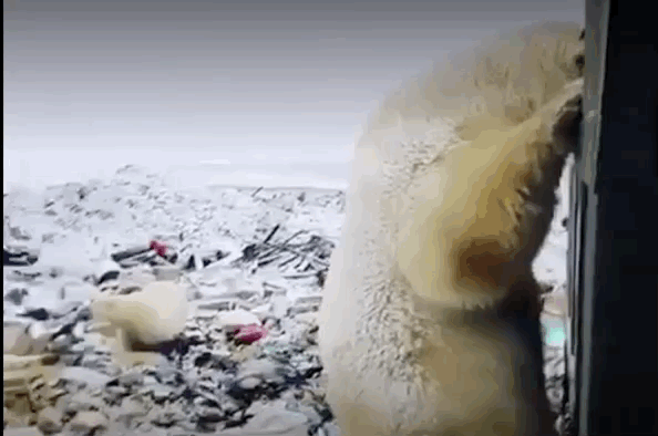 2019071310550390512txkues.gif 6.gif