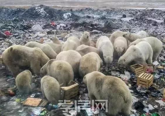 20190713105515846705acwnz.jpg 7.jpg