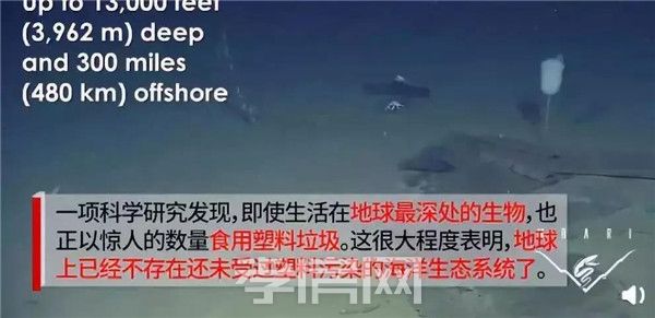 2019071310552751827vag6gn.jpg 8.jpg