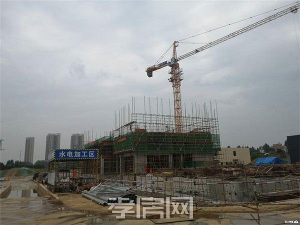 2019071718393854656vpzjc2.jpg 2.jpg