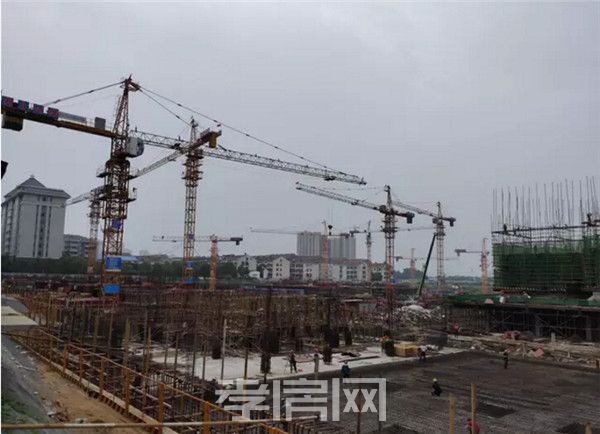 2019071718400253874py5prf.jpg 4.jpg