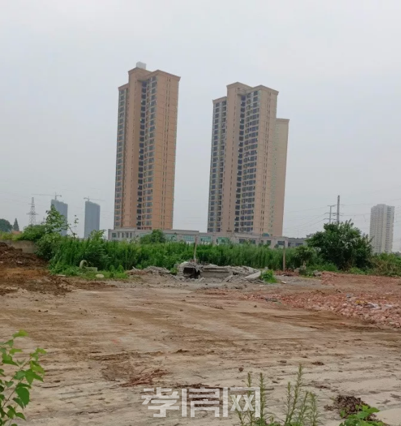 2019071914210064172b71cej.png 微信圖片_20190719141744.png