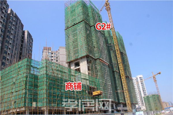 2019072917111884010d73sk2.jpg 3.jpg