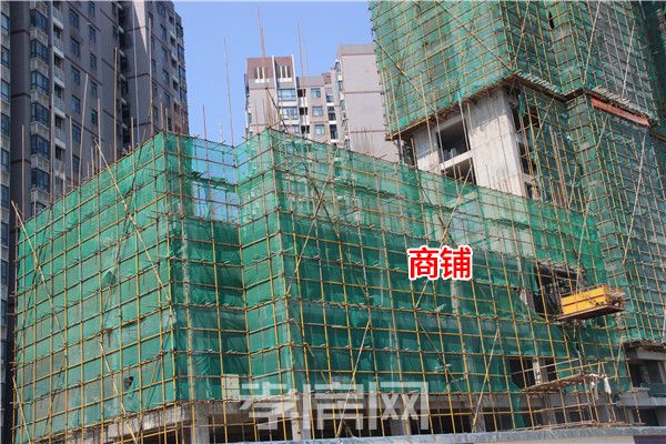 2019072917112931145flggqf.jpg 4.jpg