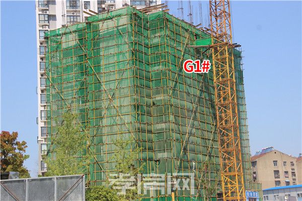 2019072917114055346eqspyx.jpg 5.jpg