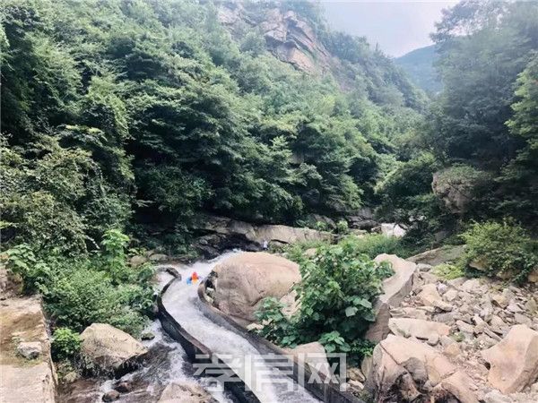 2019080515565842998nulbsx.jpg 6.jpg