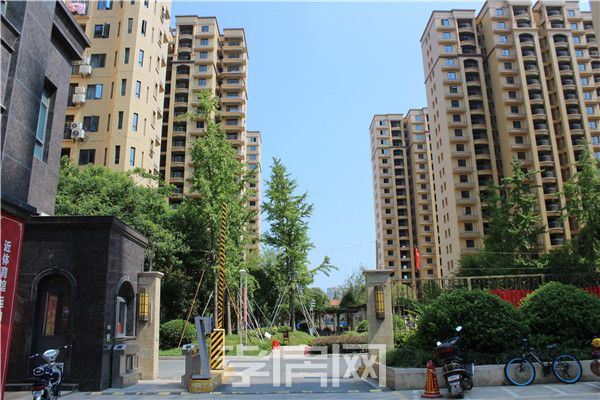 2019080816512336856sldbfy.jpg 1.jpg