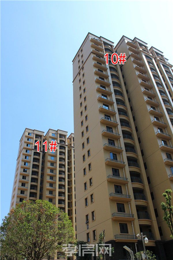 2019080816532741413wqt2it.jpg 10-11.jpg