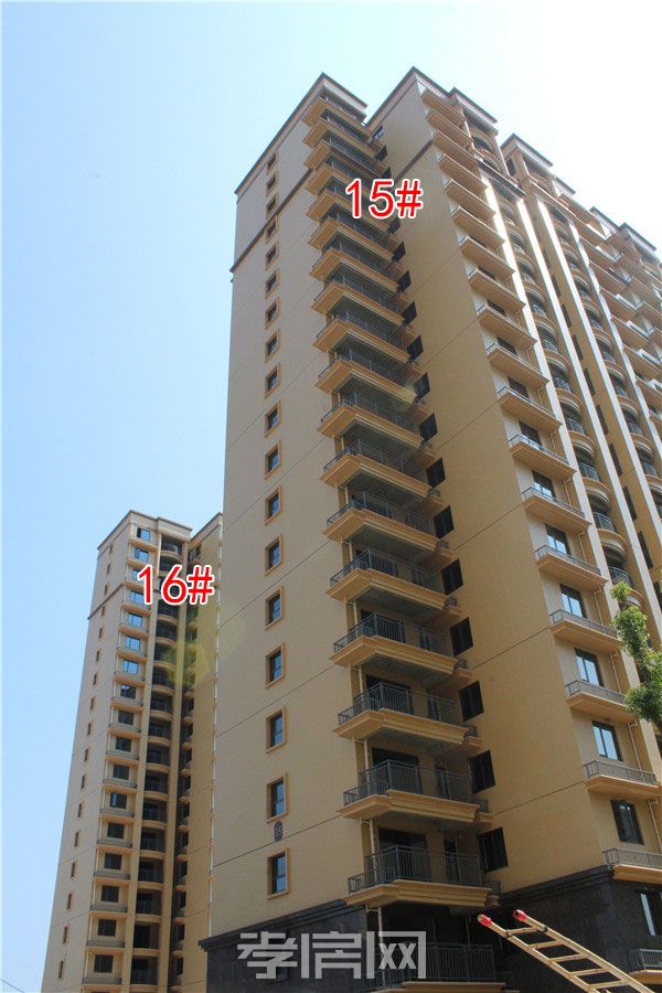 2019080816541315304cqdiqs.jpg 15-16.jpg