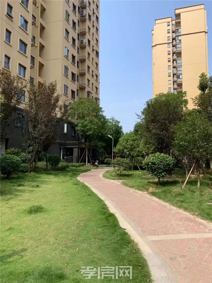 2019081716093953306icewl7.jpg 9.jpg