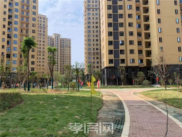 2019081716101678437qsxhnd.jpg 12.jpg