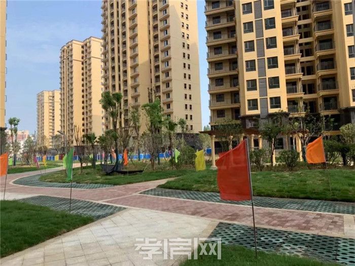 2019081716110487026w2a5me.jpg 15.jpg