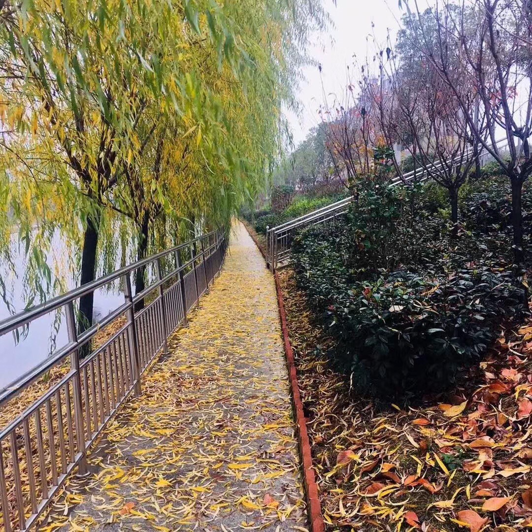 131m南北通透大三房 急售去武漢發(fā)展