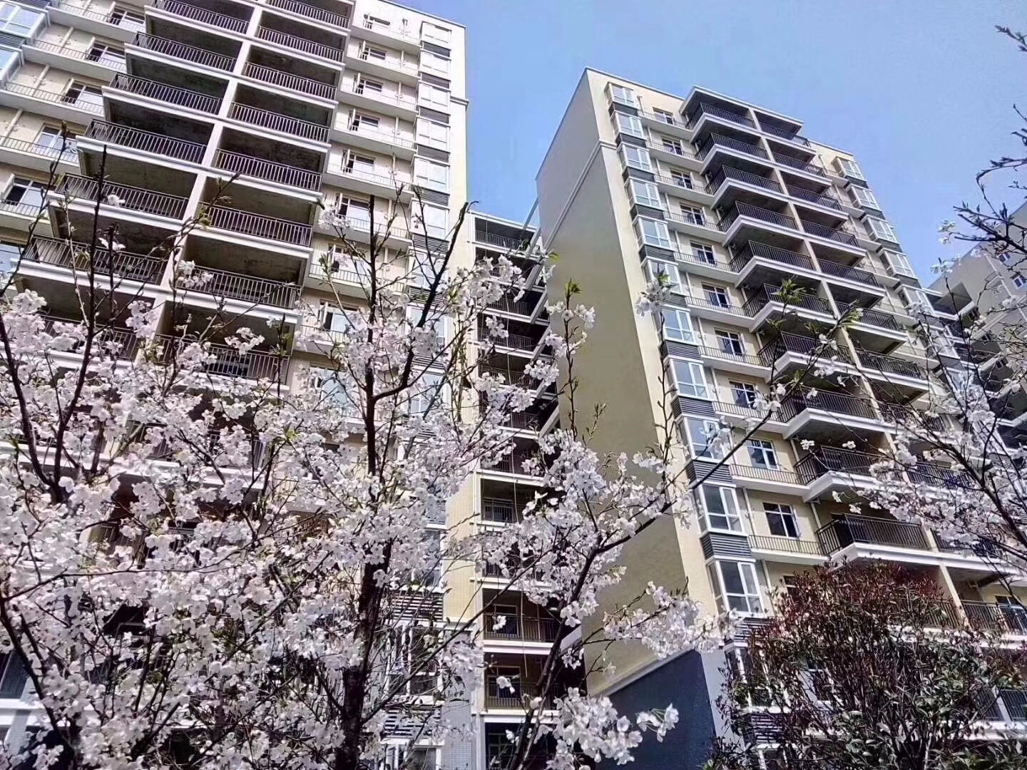 131m南北通透大三房 急售去武漢發(fā)展