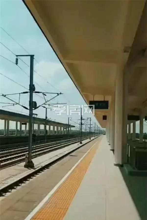 2019082914102781460apnytq.jpg 4.jpg