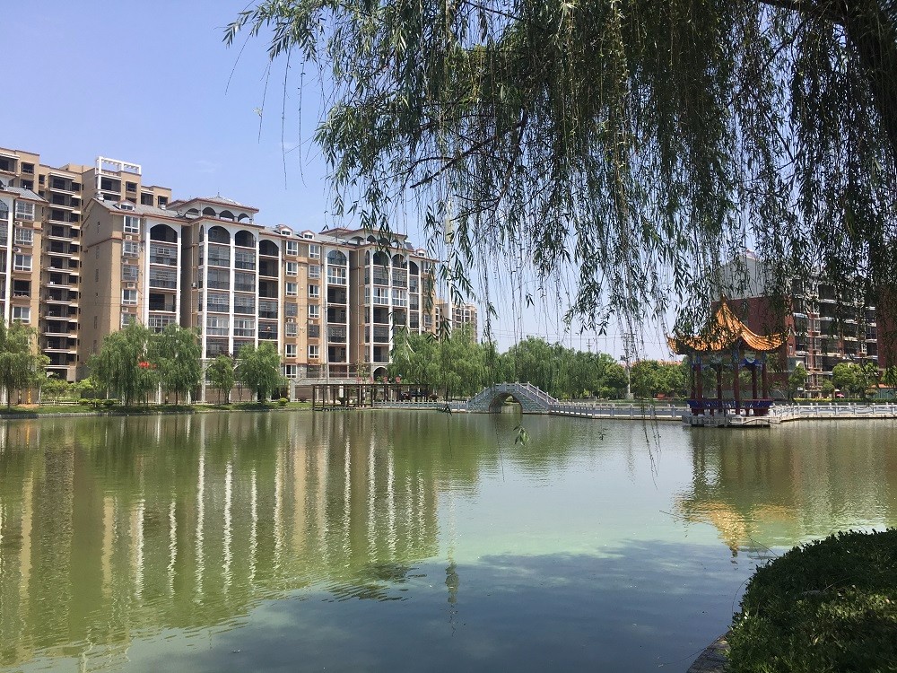 毛坯 ，現(xiàn)房 ，均價2900元/㎡，總價30萬起買三房