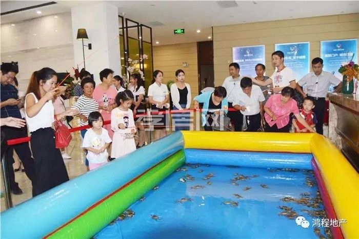 2019091118194198927eq6qrp.jpg 2.jpg