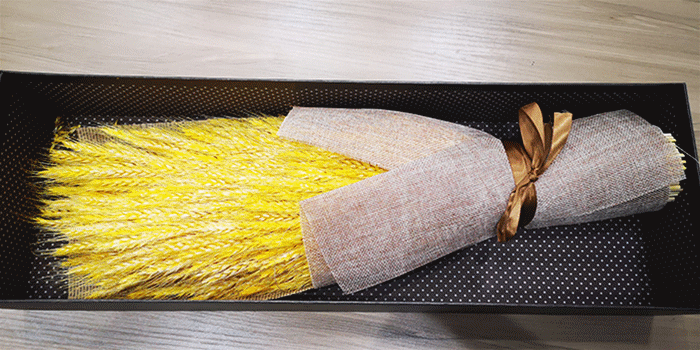 溫情傳遞|孝房網(wǎng)中秋送禮 感謝一路有你 ！