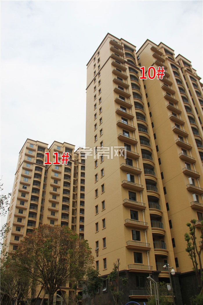 2019092010493062646hot7sm.jpg 10-11.jpg