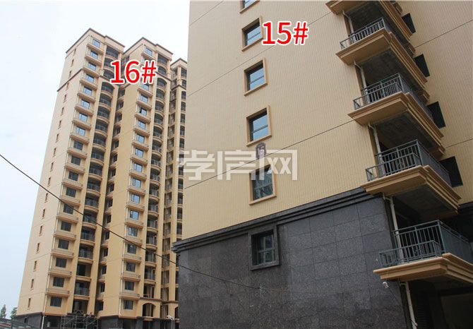 20190920105033852246hstei.jpg 15-16.jpg