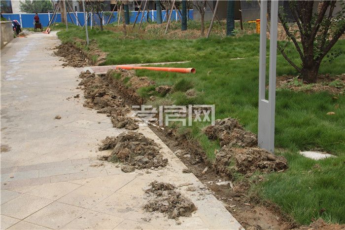 2019092010513852142auodn8.jpg 綠化.jpg