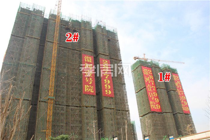 2019101010592517301pqqog3.jpg 1.2.jpg