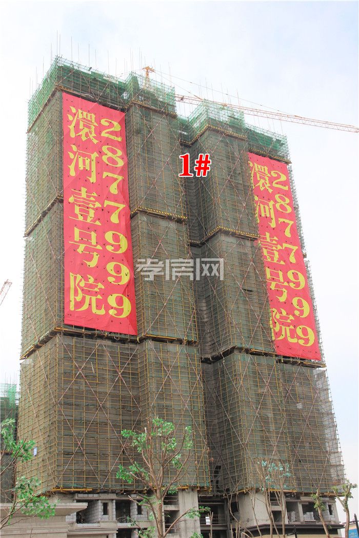 2019101010594329507ai5rvw.jpg 1(1).jpg