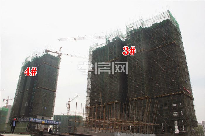 201910101100027750281yaaz.jpg 3.4.jpg