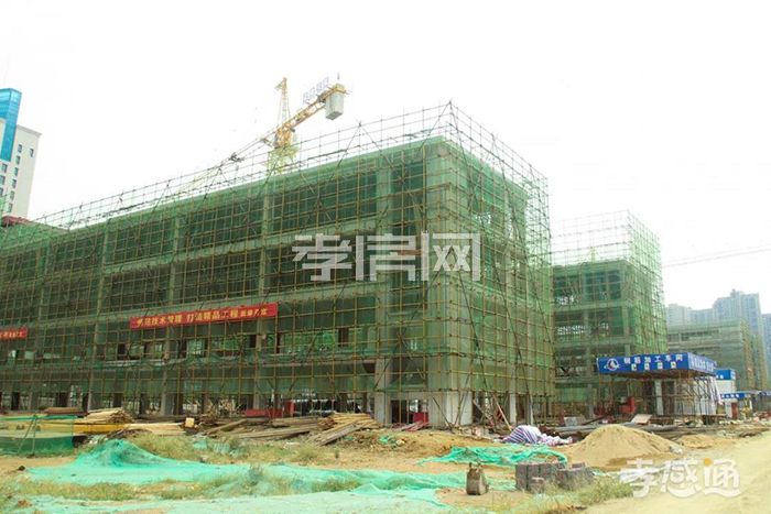 2019101611362462570guecrx.jpg 2.jpg