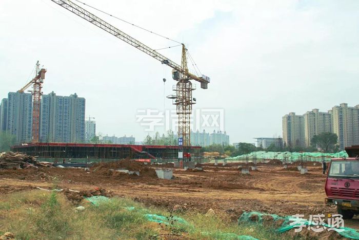 2019101611370234939hedzyy.jpg 3.jpg