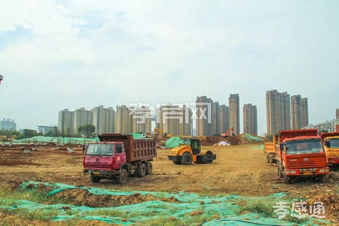 2019101611381898542la6eyy.jpg 4.jpg