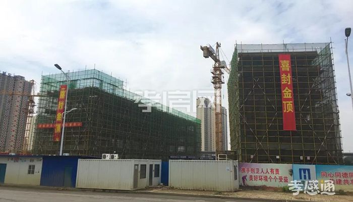 2019101611464368818uywovb.jpg 2.jpg