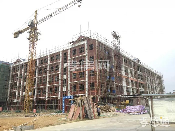 2019101612053636789gfutyv.jpg 2.jpg