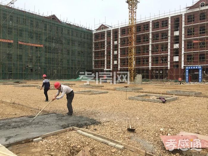 2019101612054414054dghxxu.jpg 3.jpg